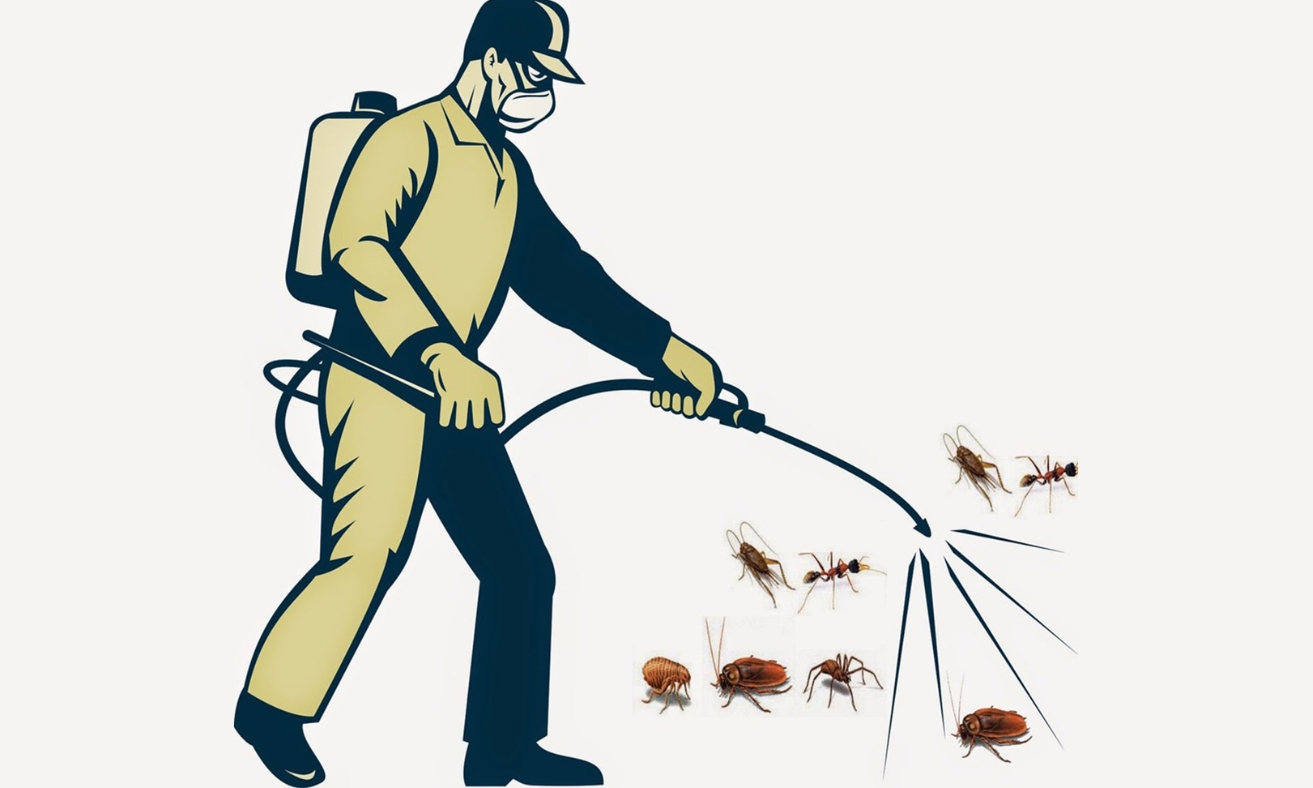 dịch vụ diệt côn trùng quảng ngãi