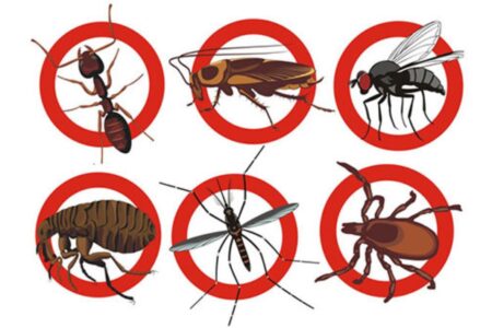 dịch vụ diệt côn trùng